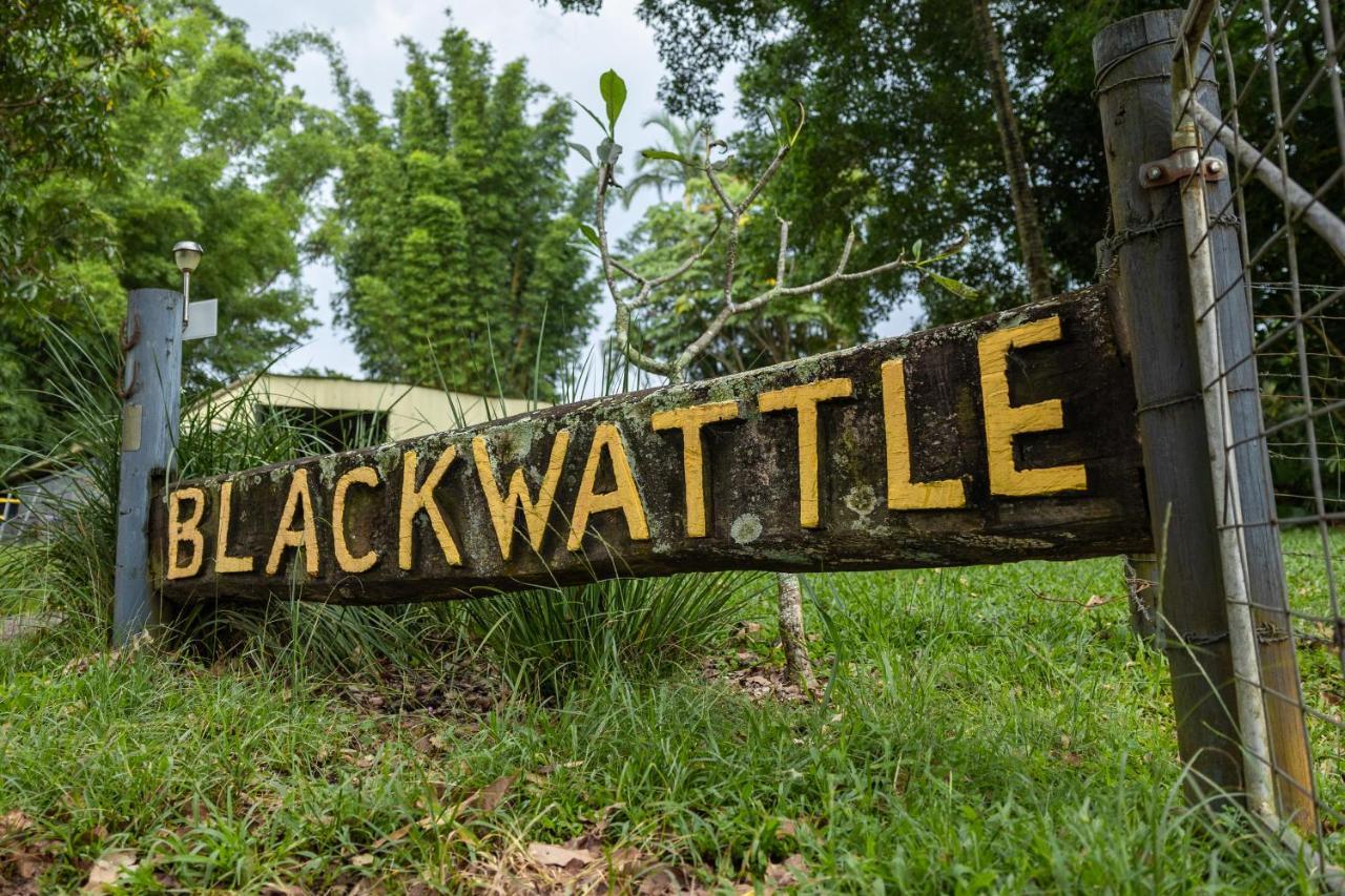 Blackwattle Farm Beerwah Dış mekan fotoğraf