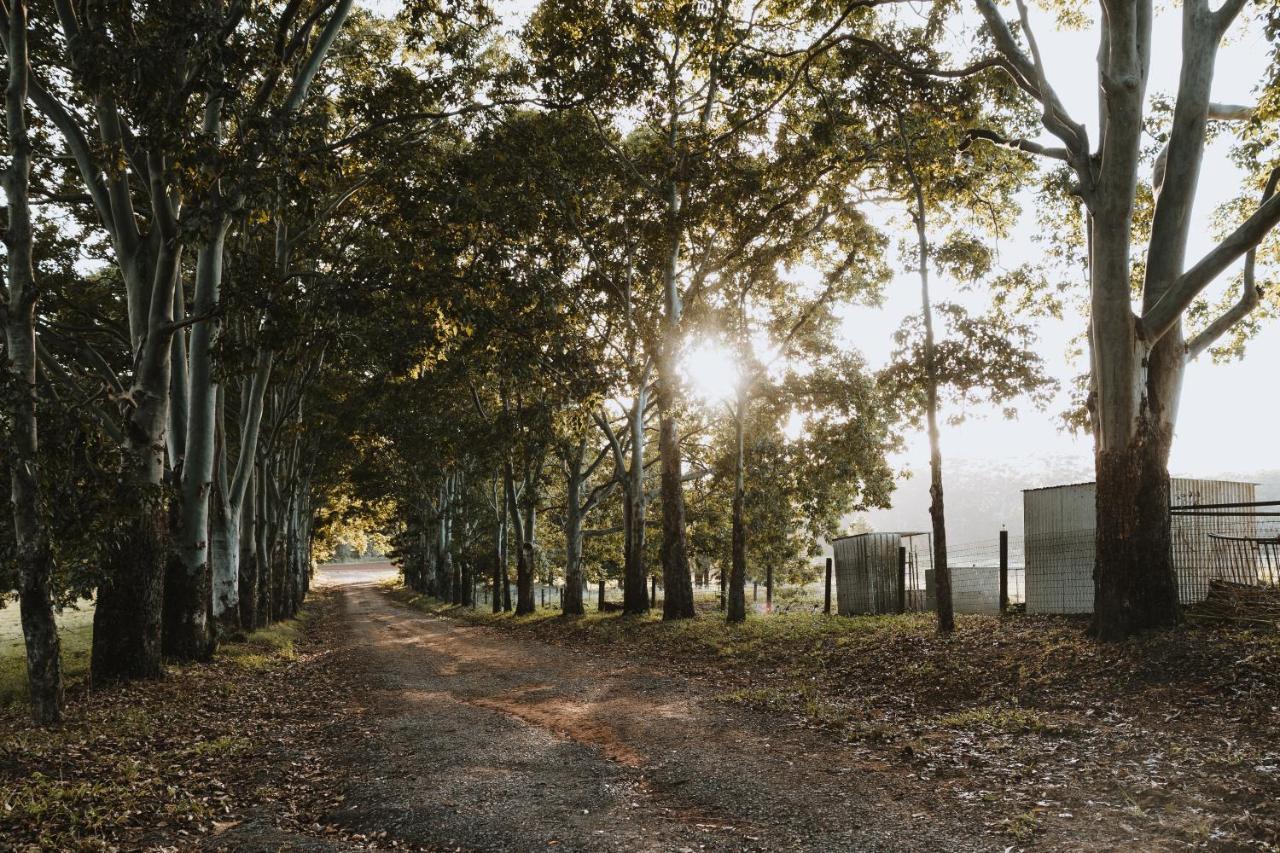 Blackwattle Farm Beerwah Dış mekan fotoğraf