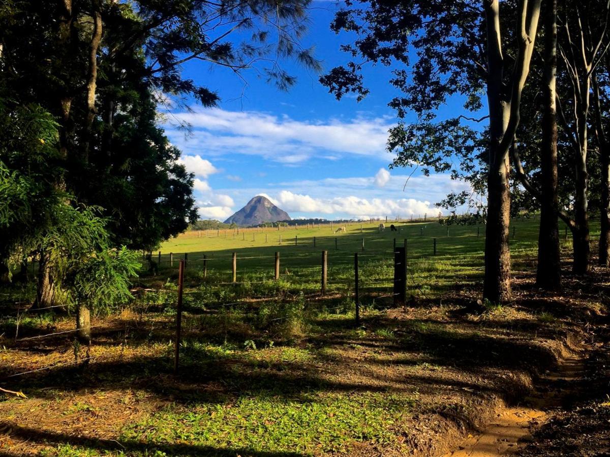 Blackwattle Farm Beerwah Oda fotoğraf