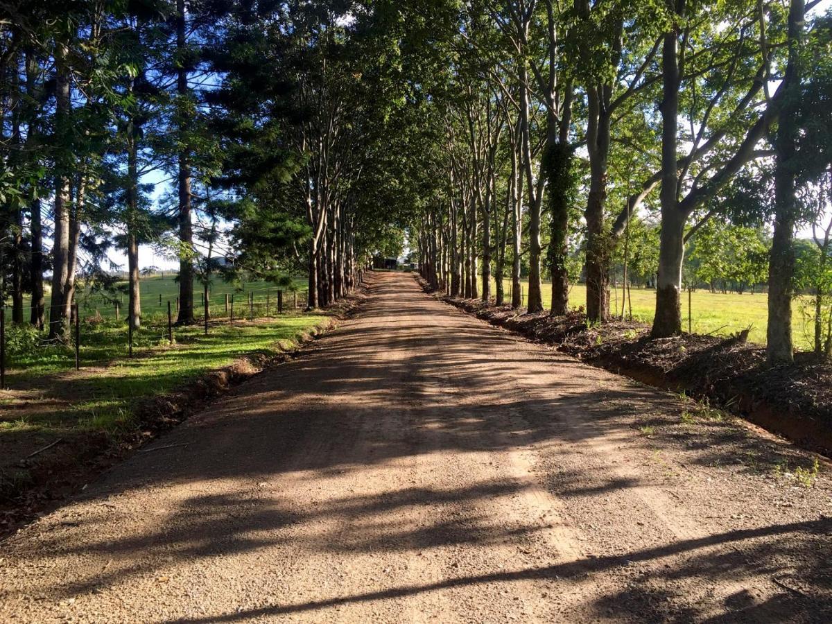 Blackwattle Farm Beerwah Oda fotoğraf