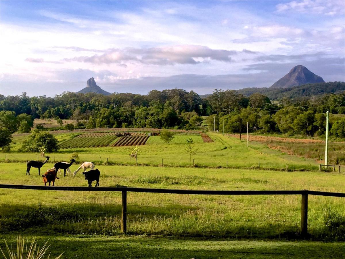 Blackwattle Farm Beerwah Oda fotoğraf