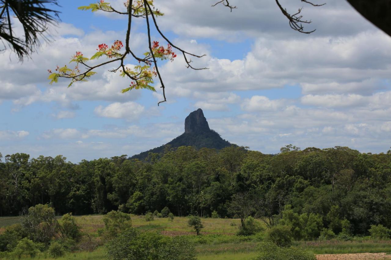 Blackwattle Farm Beerwah Oda fotoğraf