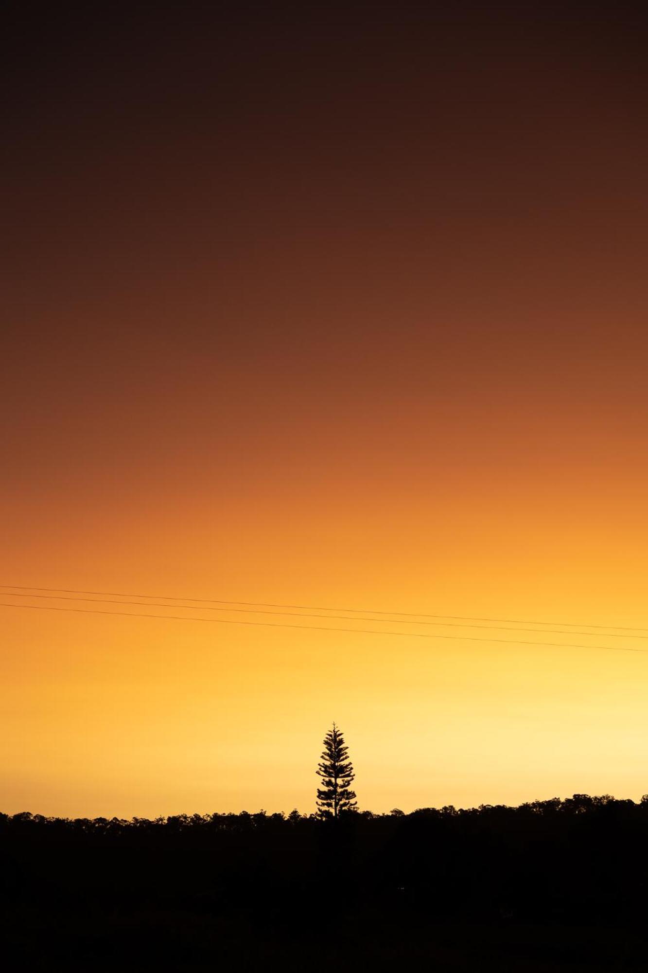 Blackwattle Farm Beerwah Dış mekan fotoğraf
