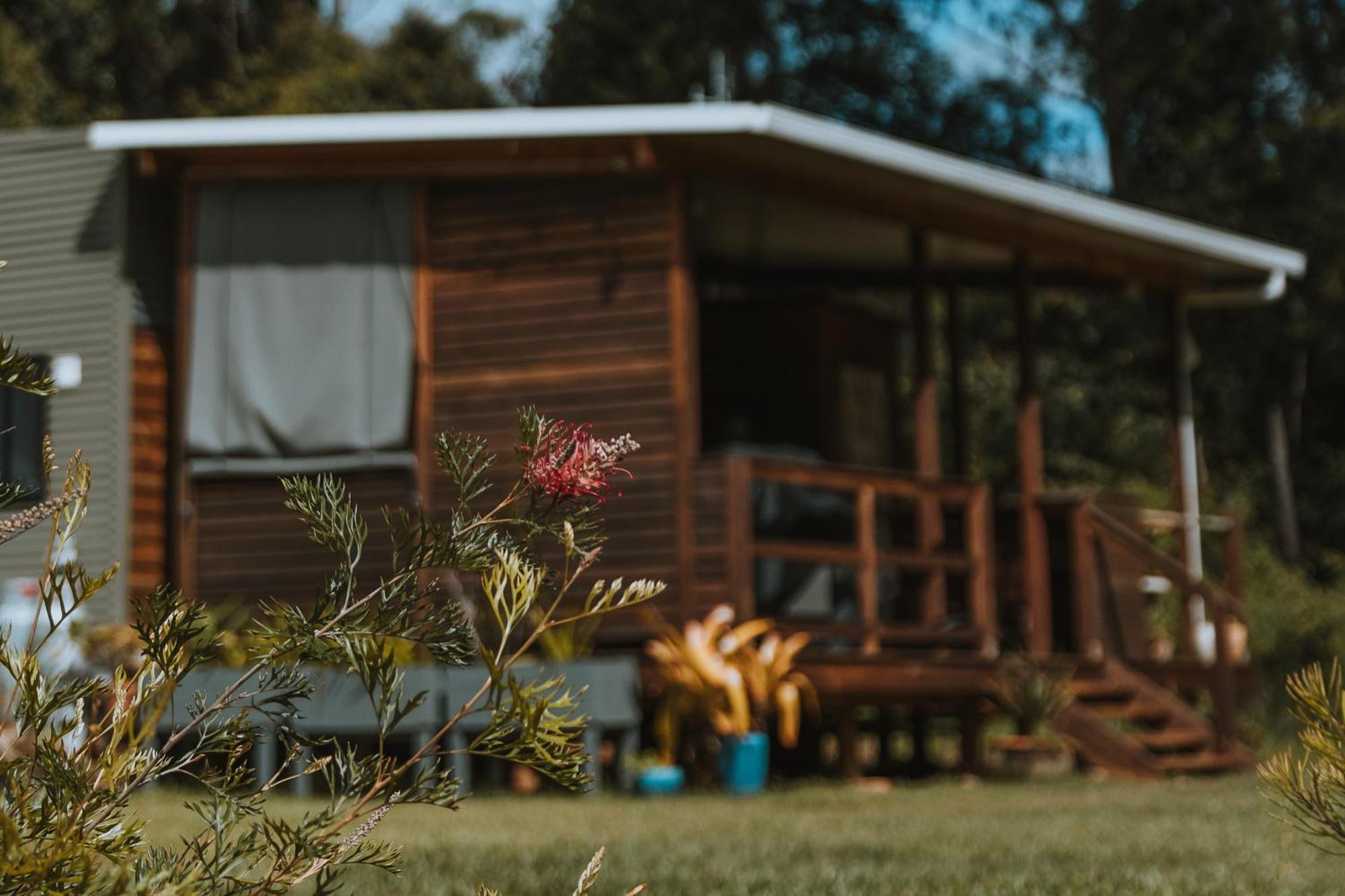 Blackwattle Farm Beerwah Dış mekan fotoğraf