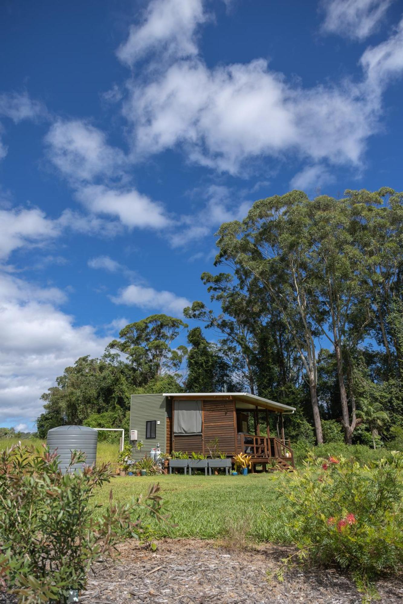 Blackwattle Farm Beerwah Oda fotoğraf