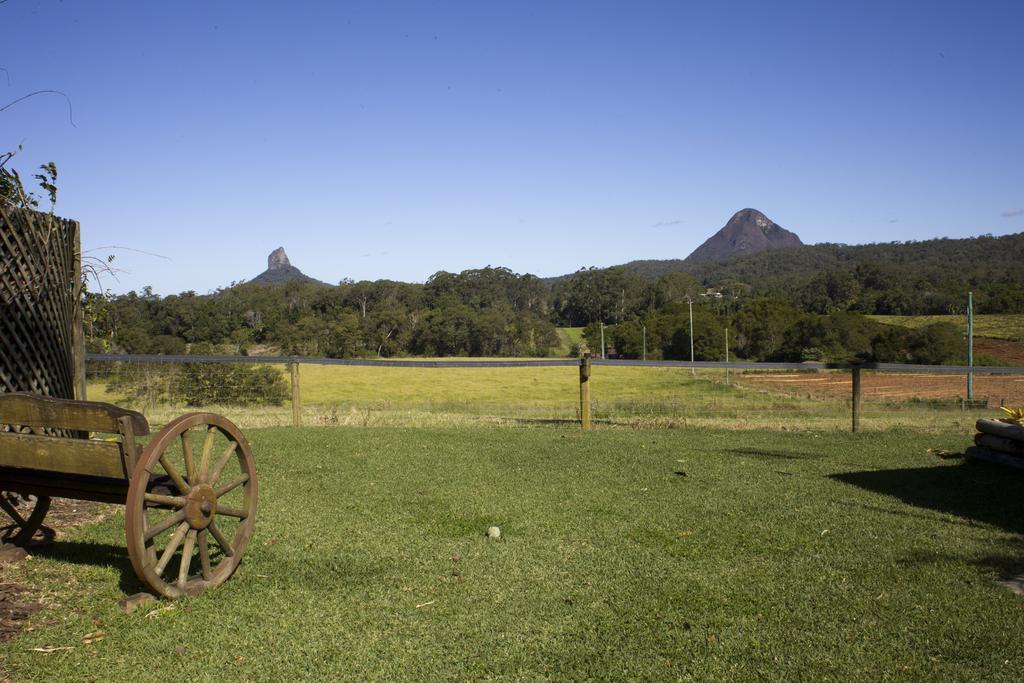 Blackwattle Farm Beerwah Dış mekan fotoğraf