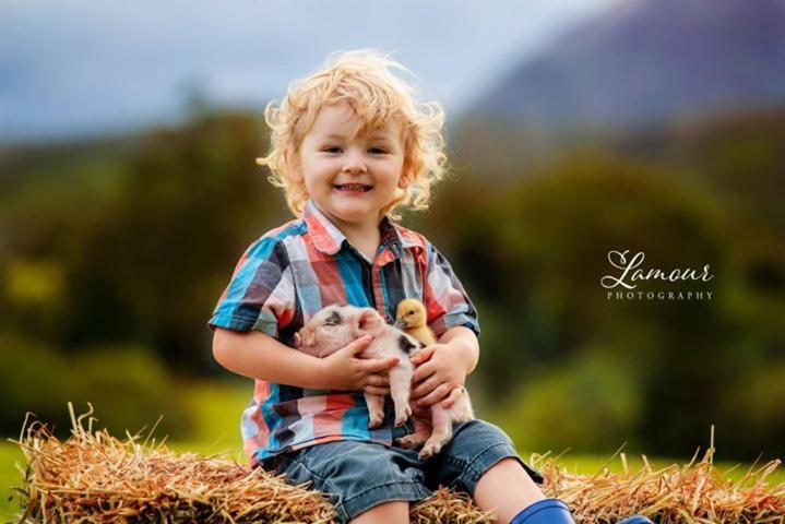 Blackwattle Farm Beerwah Dış mekan fotoğraf